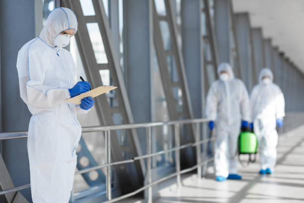 Mold Remediation for Vacation Homes in Wilmer, TX