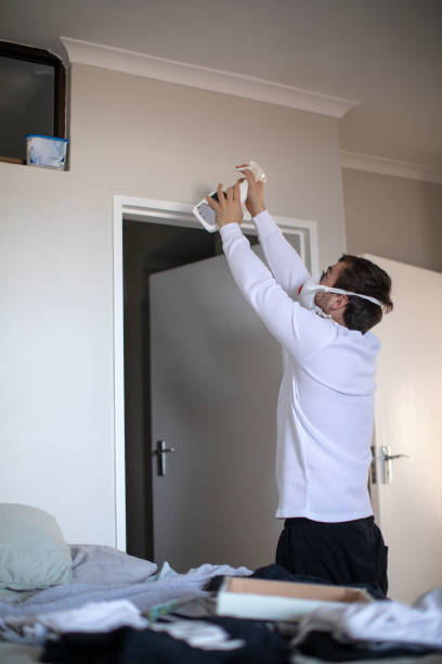 Best Mold Removal for HVAC Installations  in Wilmer, TX