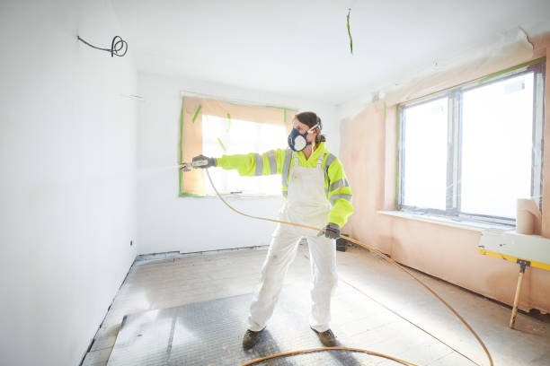 Professional Mold Removal in Wilmer, TX