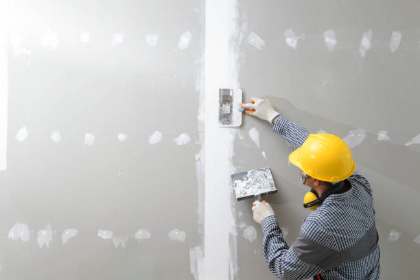 Best Post-Remediation Verification Testing  in Wilmer, TX