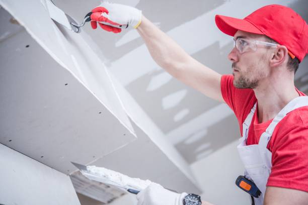 Best Mold Remediation for Vacation Homes  in Wilmer, TX
